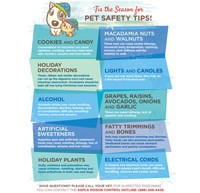 Pet Safety Tips!